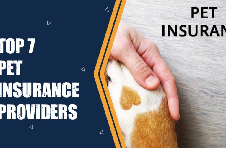 Top 7 Pet Insurance Providers in the USA: Comprehensive Coverage for Your Furry Friends